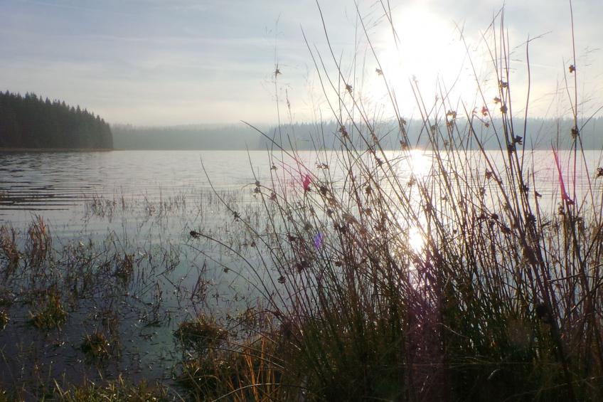 Fewo "Kranichsee WGH - foto 9