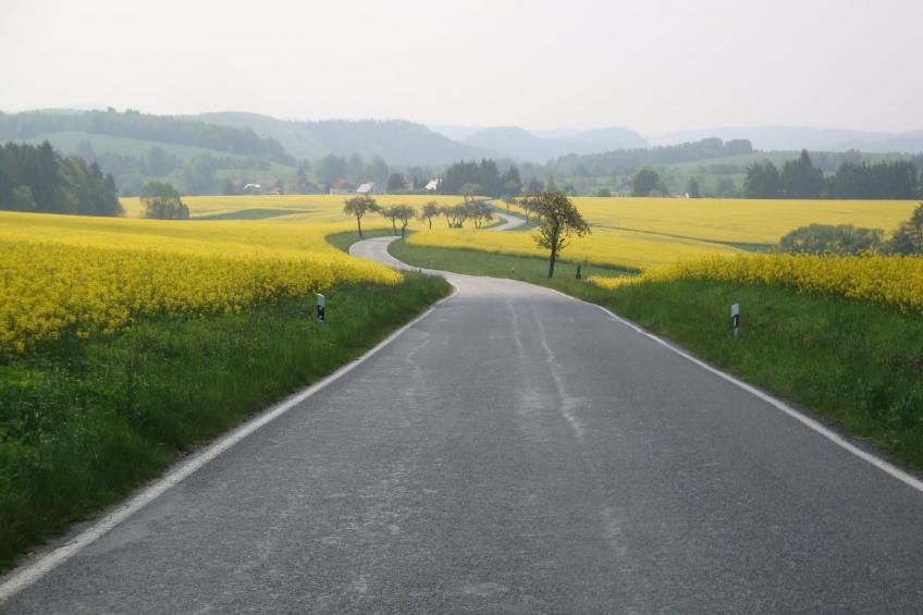 Landlust, Stadtnah -  Fewo im ehemaligem Bauernhaus mit Sauna, Kaminofen und gr - foto 31
