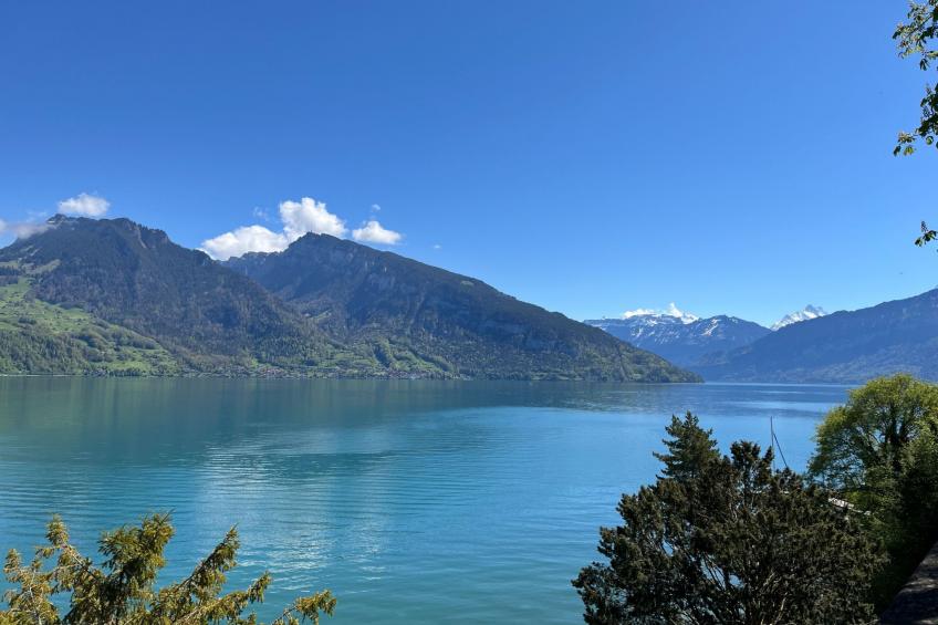 Haus Itten - foto 45