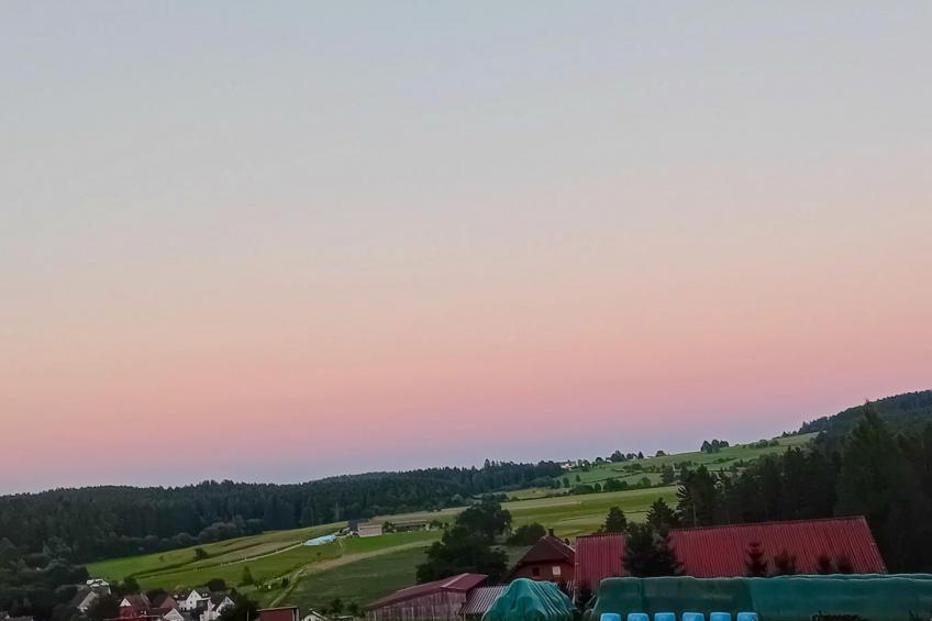 Waldacher Hof - foto 14