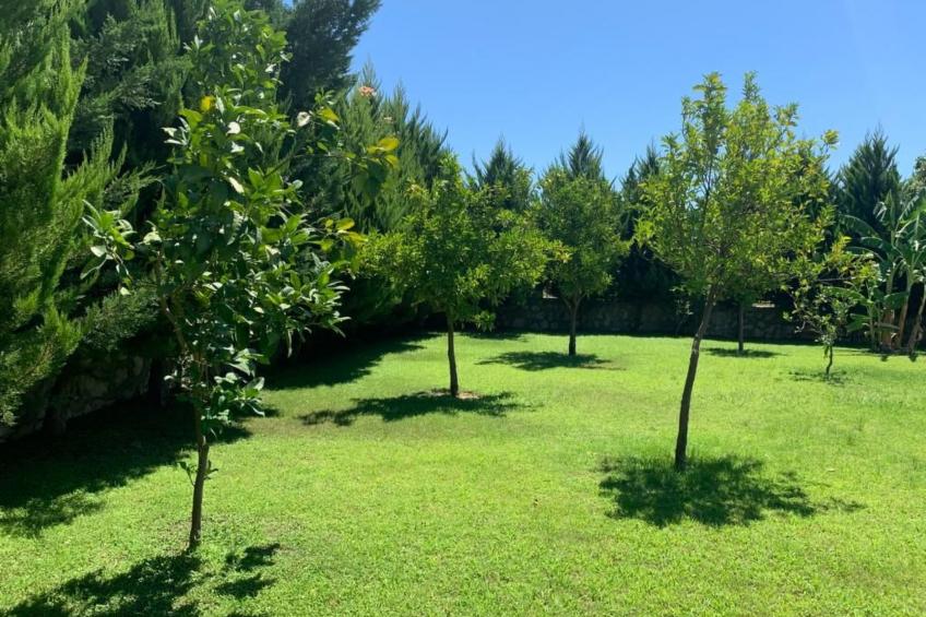 mit Terrasse - foto 56