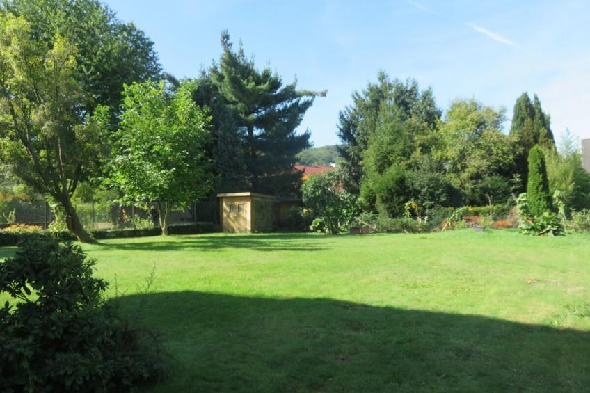 282009 - foto 3