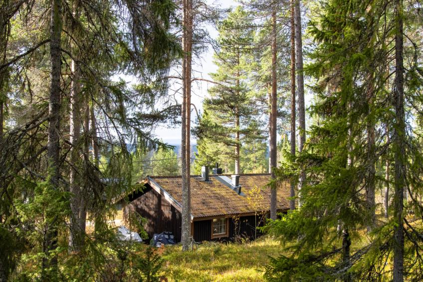 Fjällnästet - foto 24