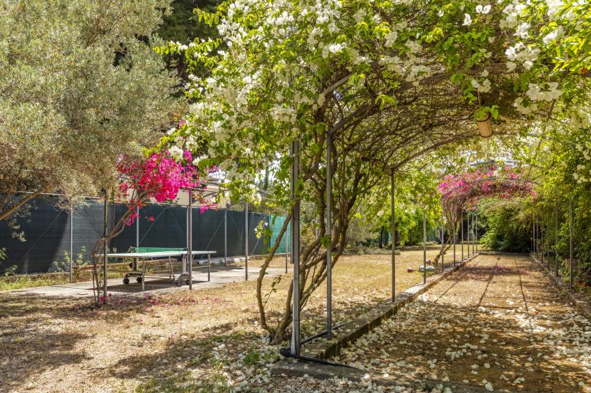 Residence Cicladi - foto 27