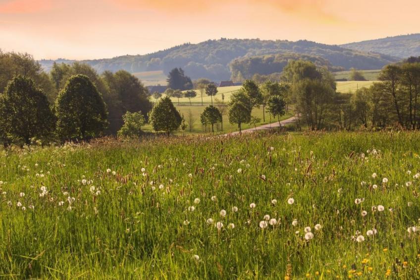 in St. Johann - foto 24