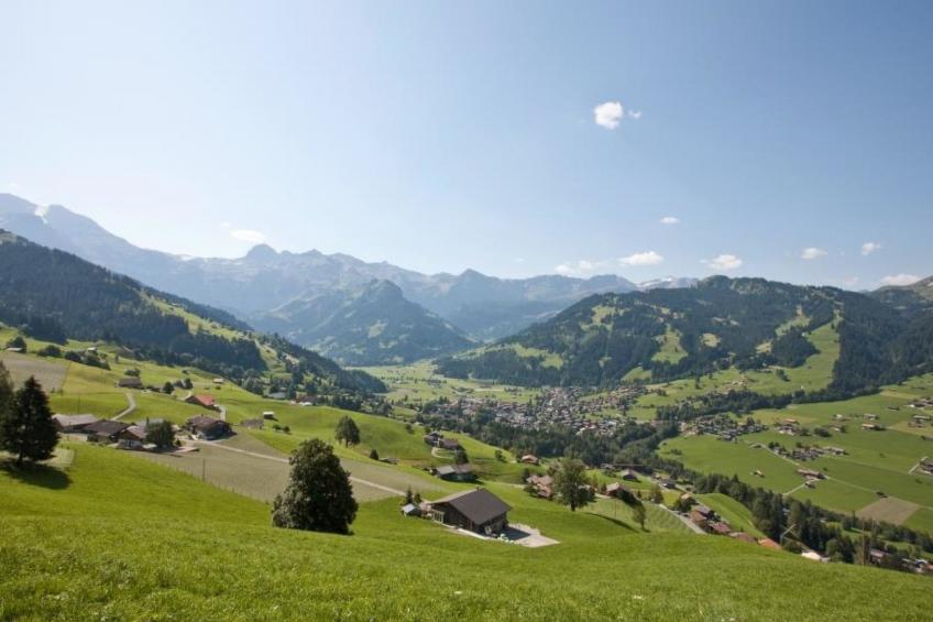 Brandegg 4 - foto 3