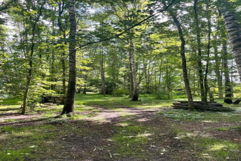 Vakantiecentrum 't Schuttenbelt 2 - foto 26