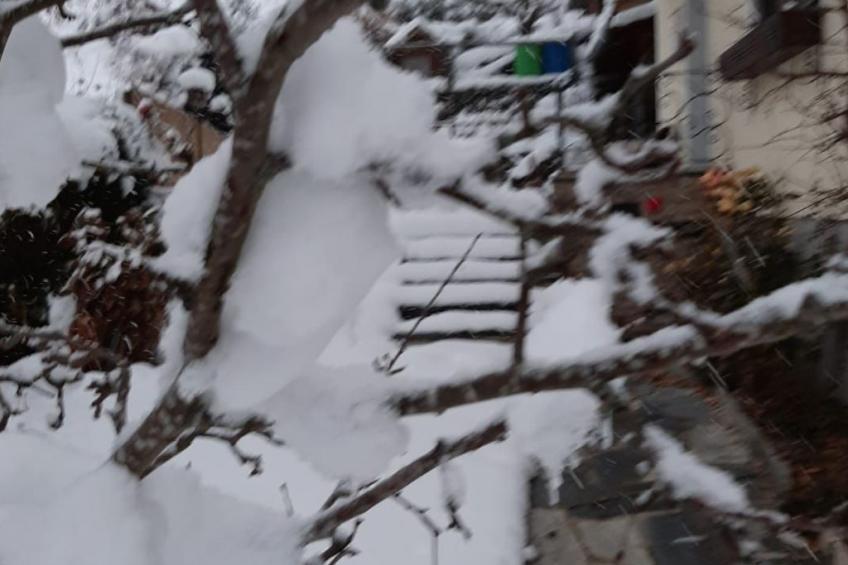 Haus Bernkogelblick in Goldegg - foto 28