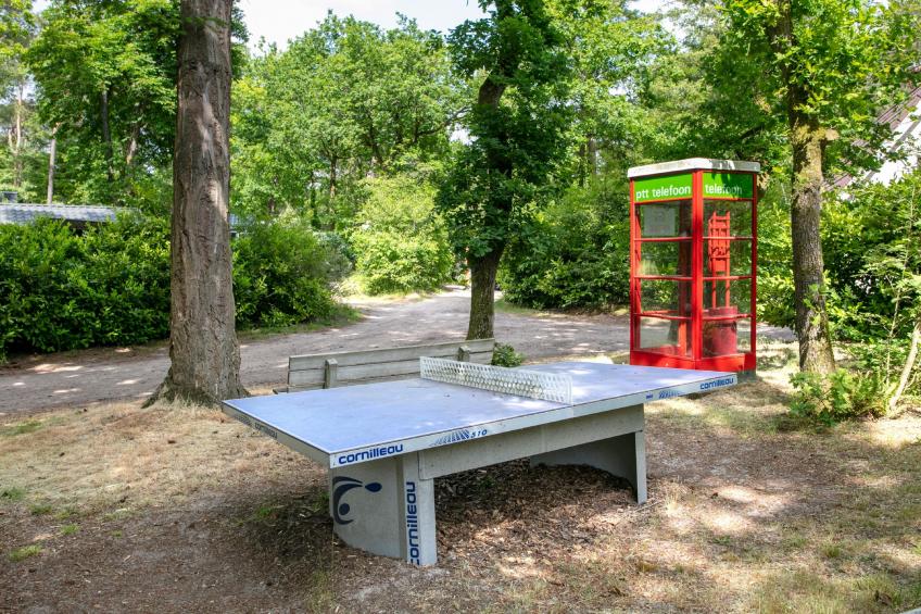 Steltloper - foto 45