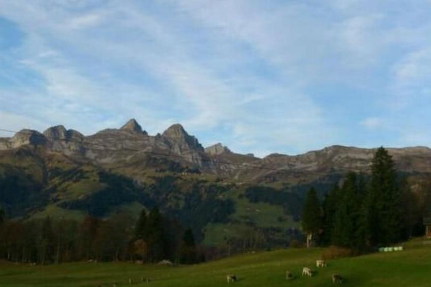 Ferien im grünen rechts - foto 19