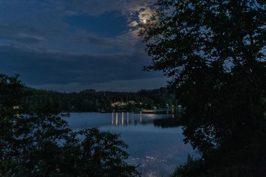 Schwedisches Glück, zwischen Wäldern und einem See - foto 35