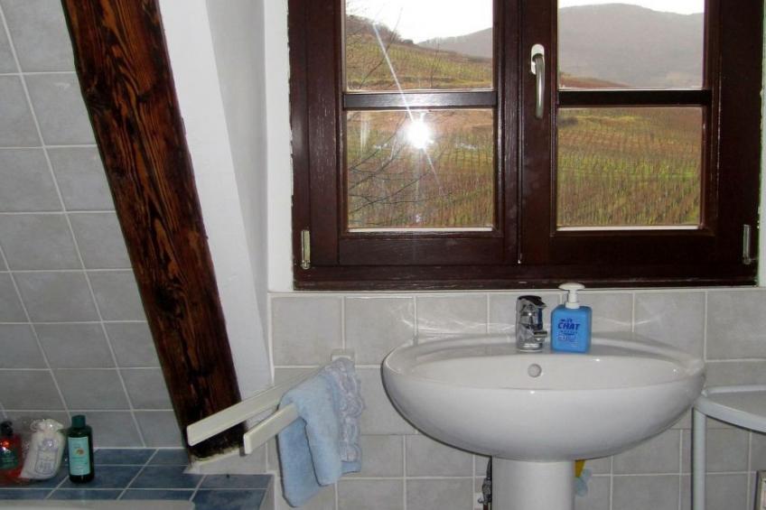 Med-Face Vosges,im Süden,im Herzen der Weinberge,Ruhig,WiFi - foto 21