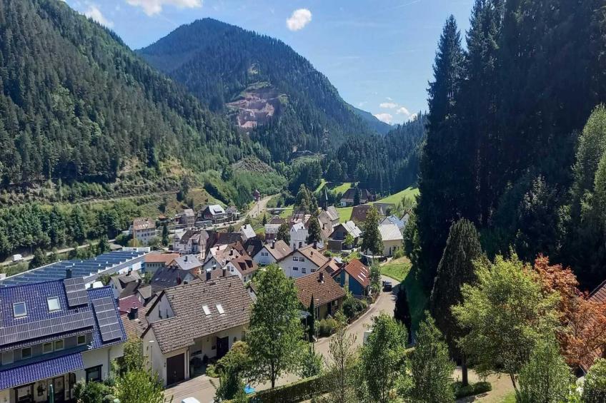 Holiday flat, Hornberg - foto 13