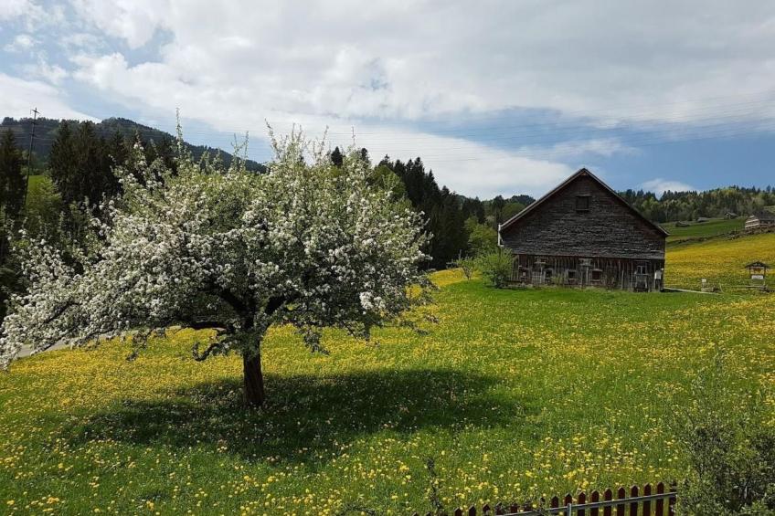 Gemütliche und geräumige Ferienwohnung - foto 14