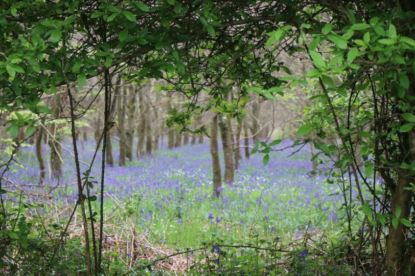 Kleines Studio auf dem Land für 2 Personen - foto 29