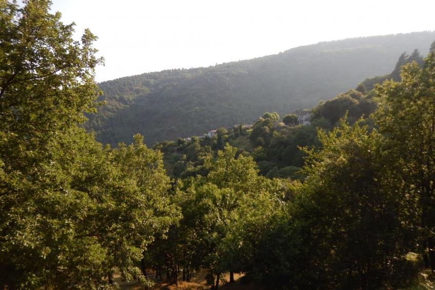 Wohnung "Saint Andre de Lancize" mit Terrasse - foto 18