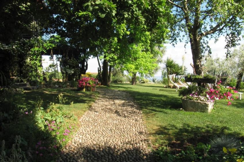 TERRAZZE SUL GARDA - foto 4