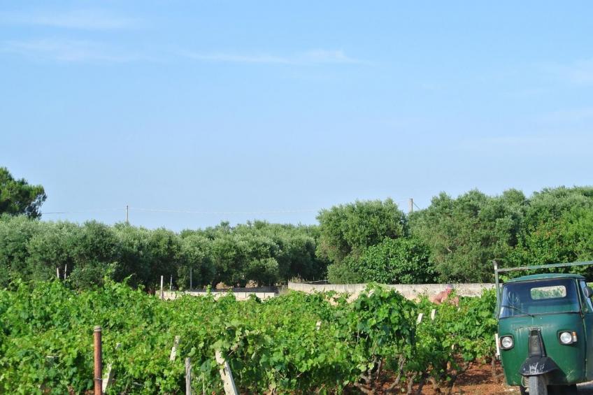 Villetti Trullissimo - foto 18