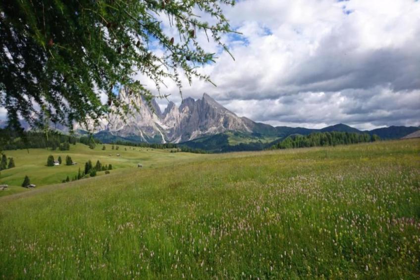 Cortina 2 - foto 26