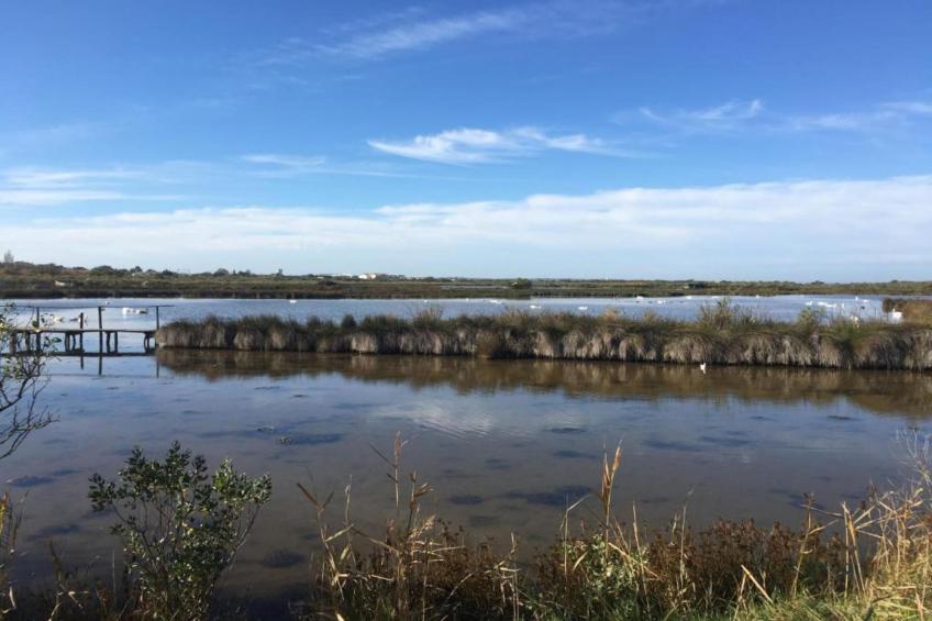 Les Rives Marines - foto 36