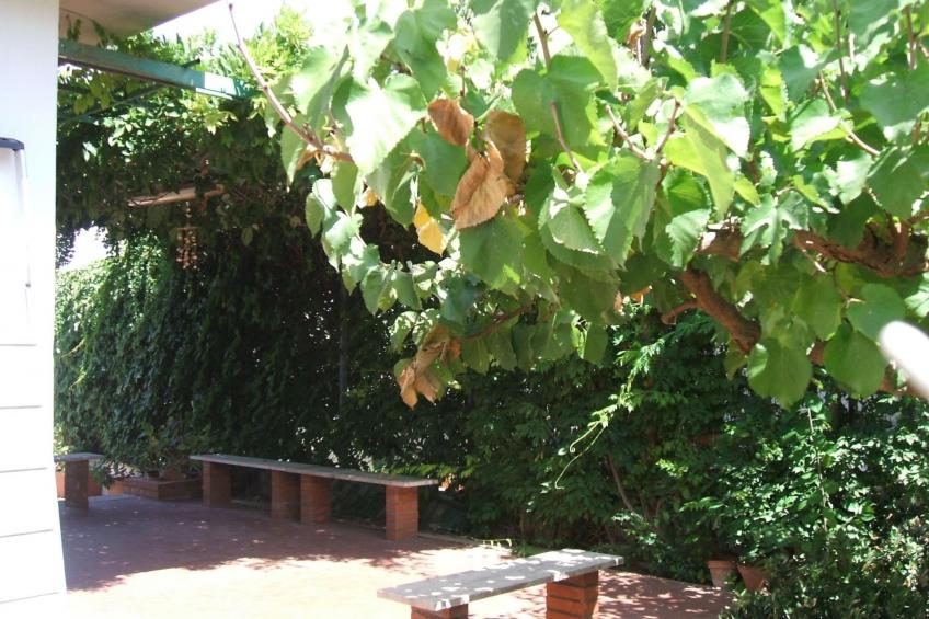 Villa Aliotis 200m vom Meer entfernt - foto 8