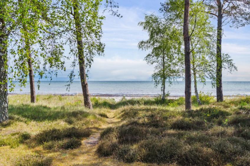 "Liska" - 60m from the sea - foto 3