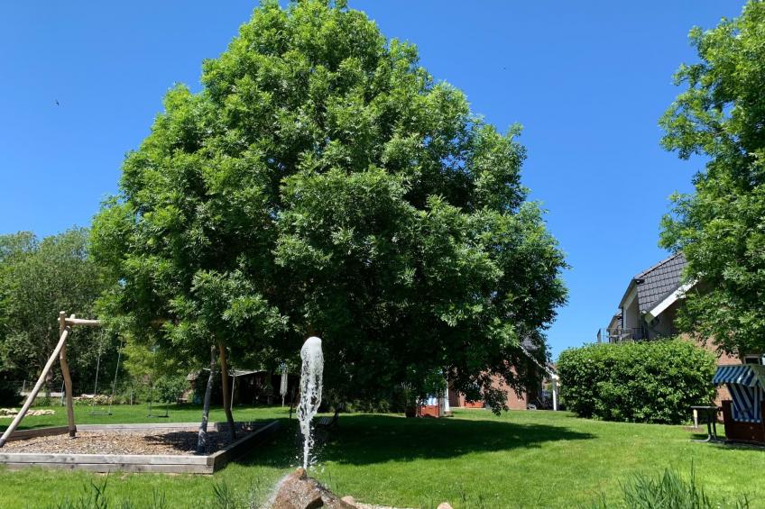 Moderne 2-Zimmer Ferienwohnung - foto 26