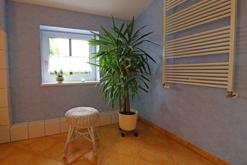 Altes Bauernhaus / Gartenblick - foto 22