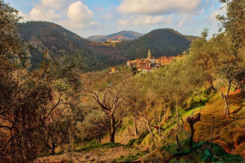 Unabhaengige Wohnung in Velva mit Garten und Grill - foto 25