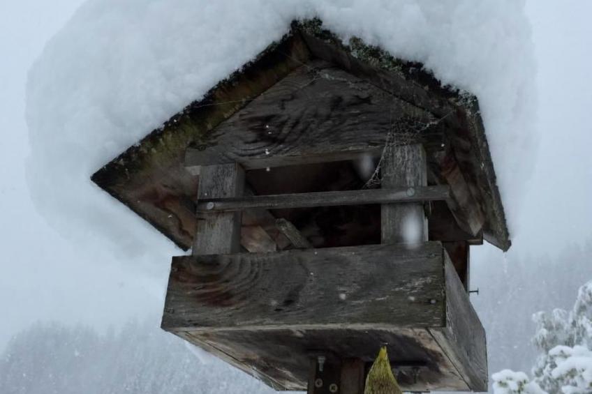 Chalet am Bühl - foto 42