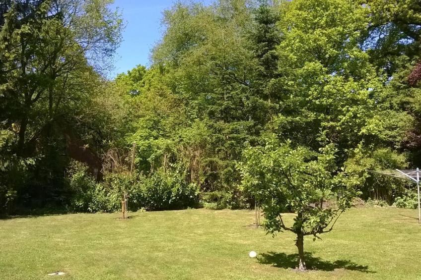 Zentrale Ferienwohnung mit Terrasse - foto 15