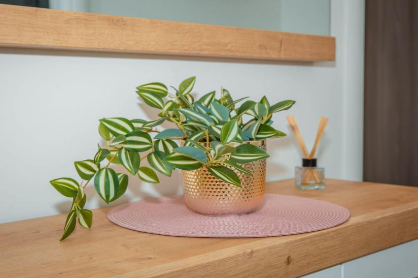 Apartment Matko - Two Bedrom Apartment with Beach View - foto 59