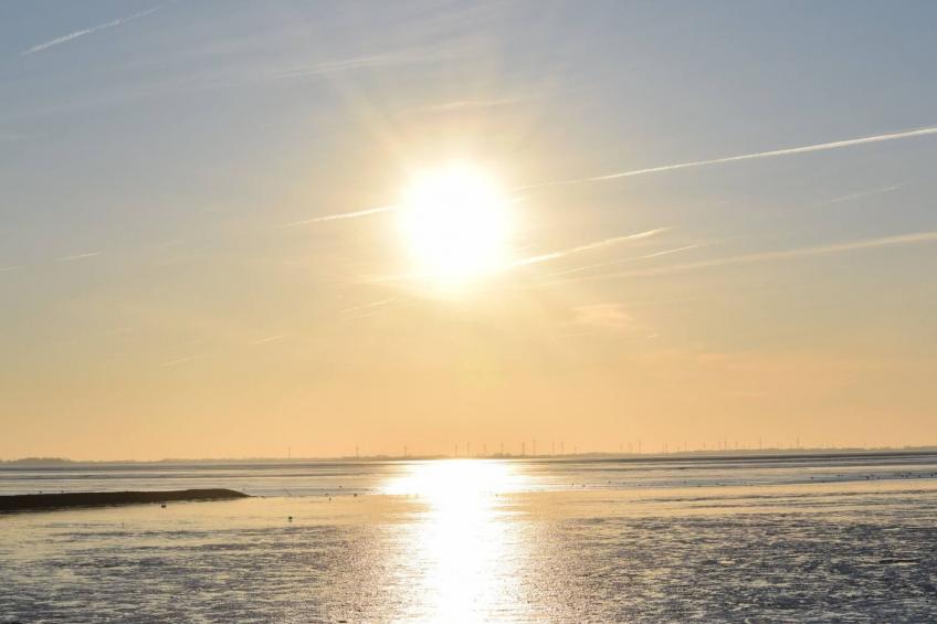 in Sehestedt mit Garten - foto 17