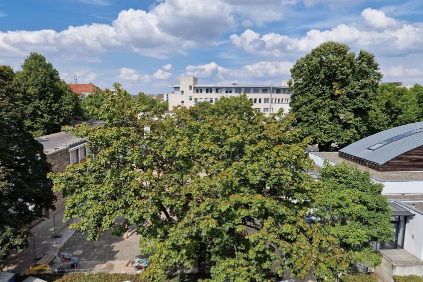 Exklusives und helles Apartment im Zentrum - foto 41