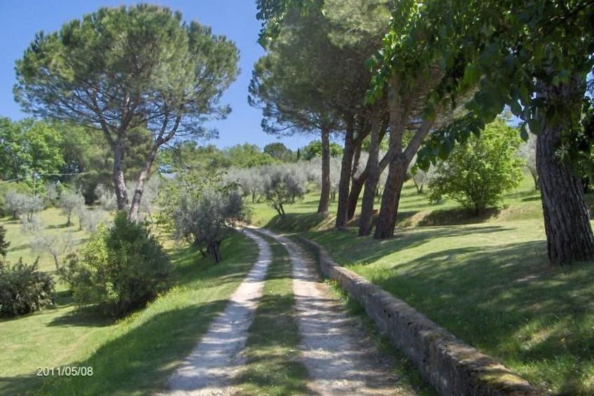 in Spoleto mit Garten, Grill und Terrasse - foto 7