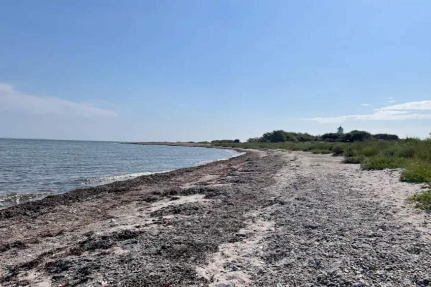 BF-ZVTNN - foto 6