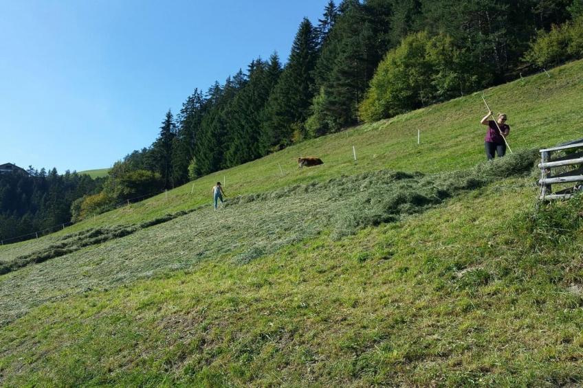 118103 - foto 12
