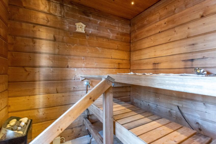 Näsinjoutsen - foto 14