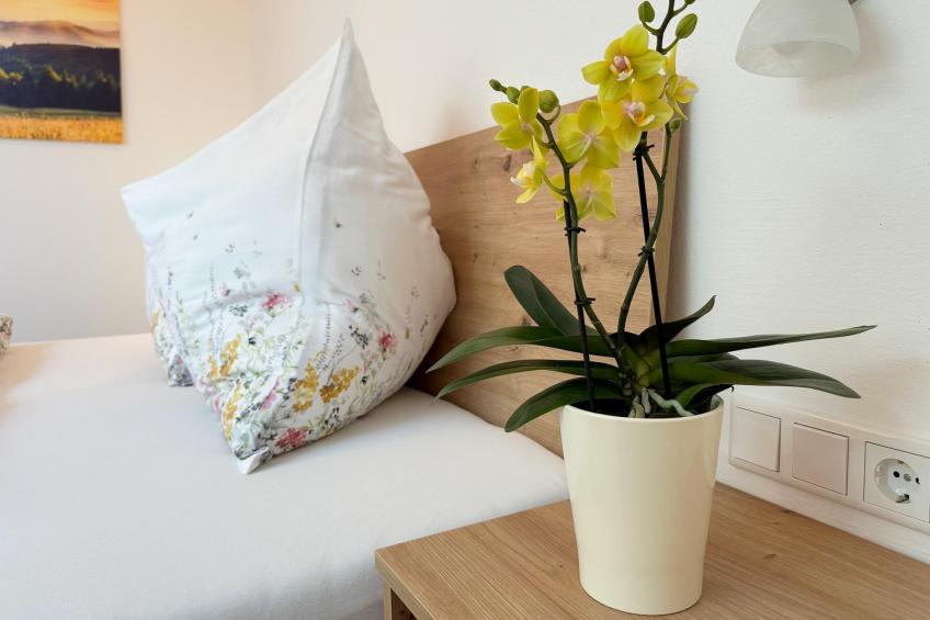 Apartment Sonnberg - foto 12