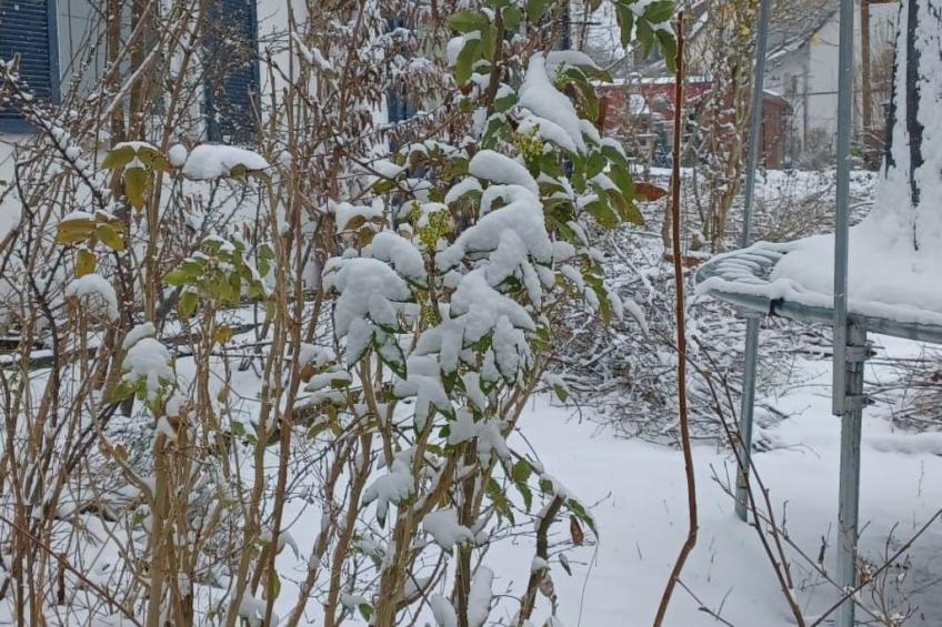 FeWo Heidenheim Bluewall - foto 11