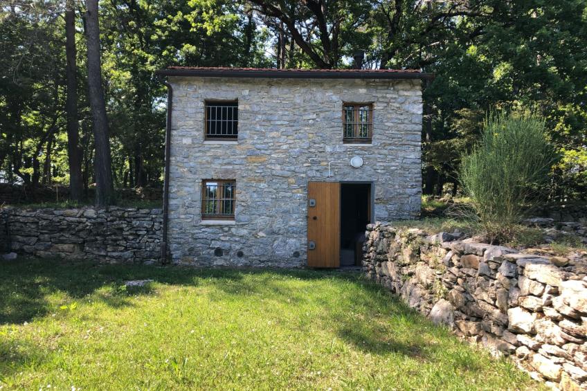 Mago in Ameglia - foto 34