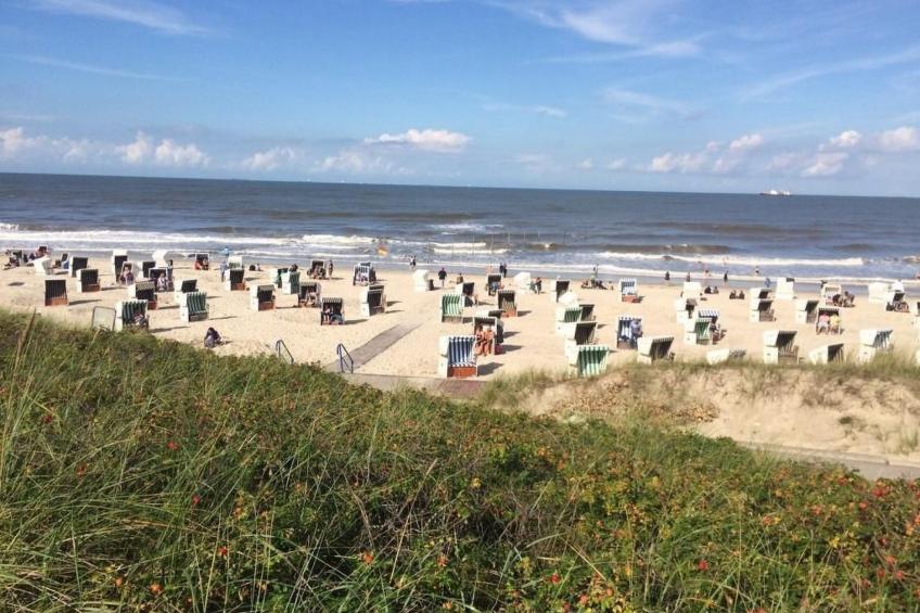 Storchennest - foto 29