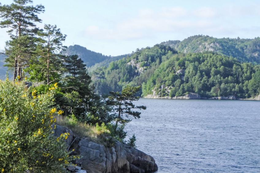 Åptafjorden (SOW684) - foto 29