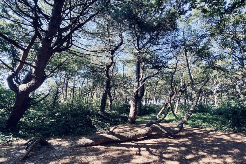 de Biotoop - foto 24