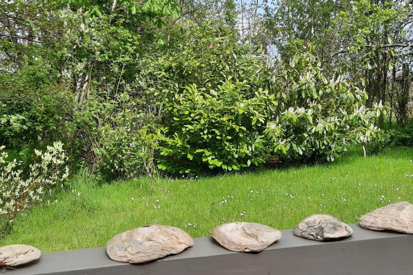 Gartenblick in Vöhl-Basdorf - foto 13