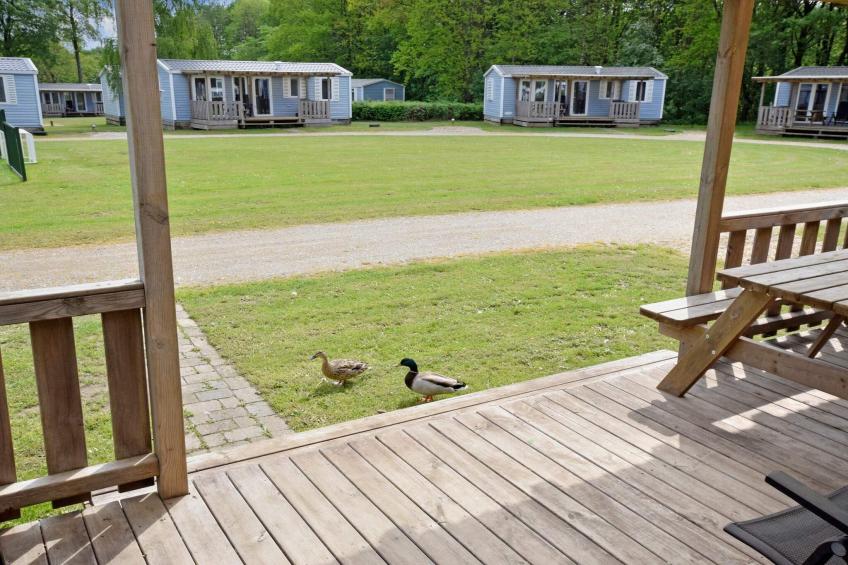 Mobile homes til 6 pers., med bad - foto 9