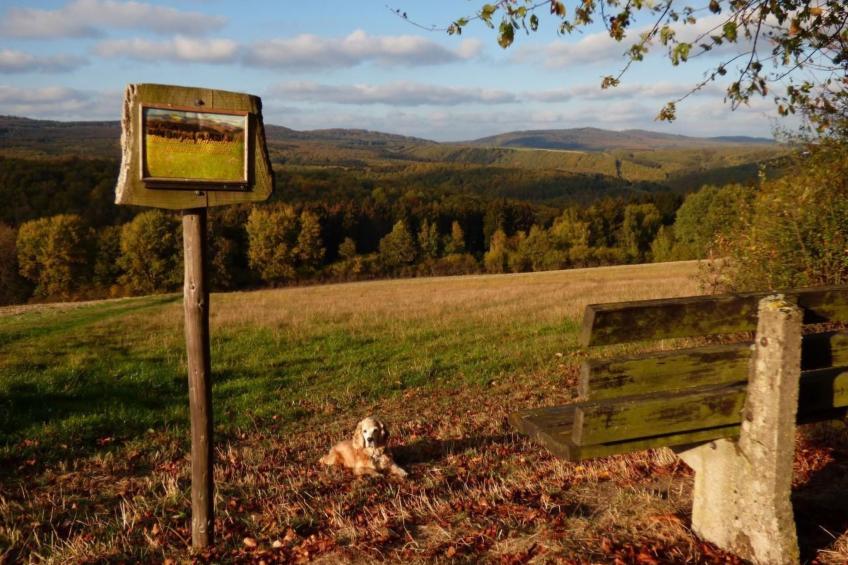 in Siesbach - foto 24