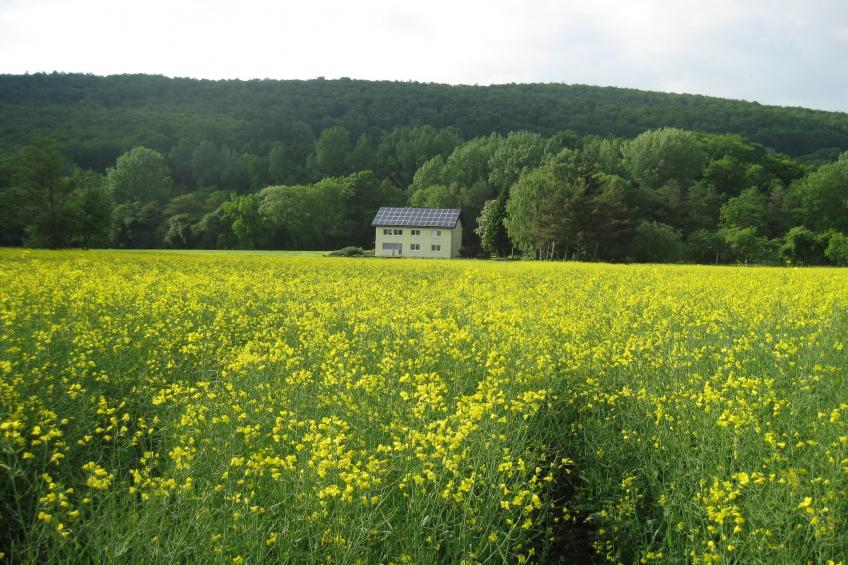Gästehaus Kühne Fewo 1 OG - foto 4