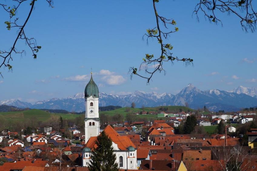 229539 - foto 3