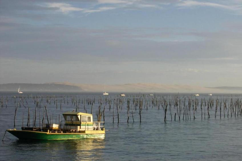 Maison à 10 min du Pilat - foto 39